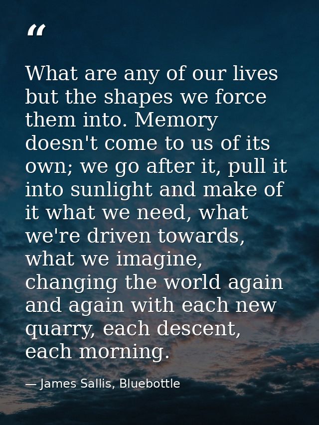 What are any of our lives but the shapes we force them into. Memory doesn't come to us of its own; we go after it, pull  — James Sallis, Bluebottle