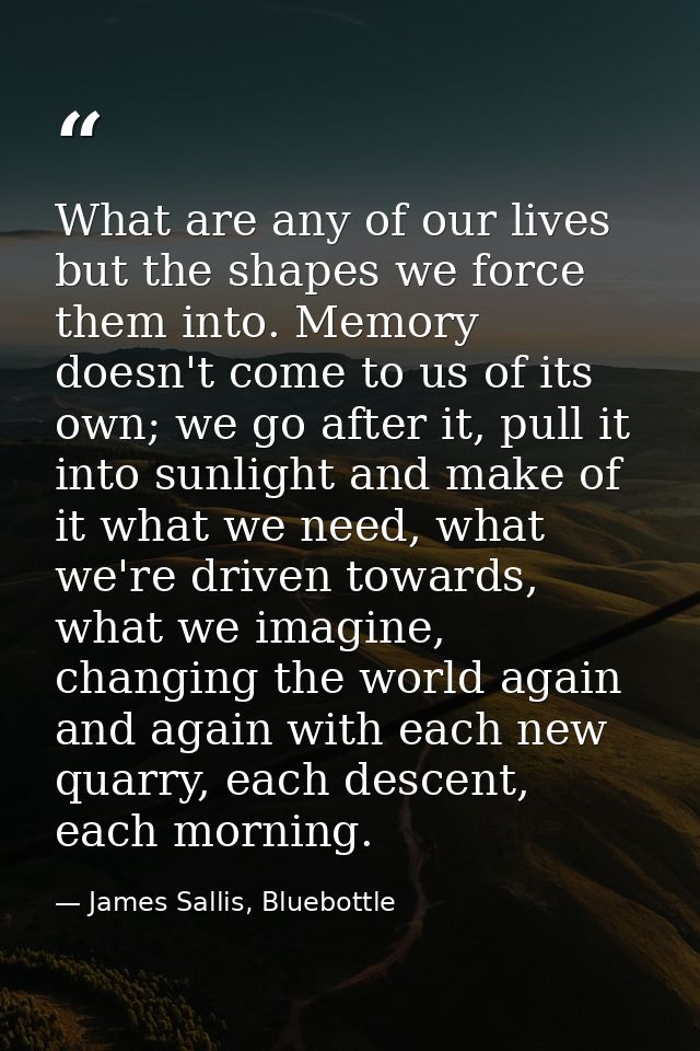 What are any of our lives but the shapes we force them into. Memory doesn't come to us of its own; we go after it, pull  — James Sallis, Bluebottle