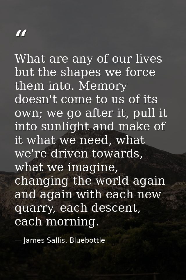 What are any of our lives but the shapes we force them into. Memory doesn't come to us of its own; we go after it, pull  — James Sallis, Bluebottle