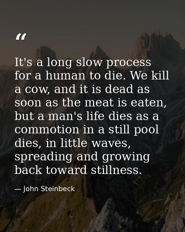 It's a long slow process for a human to die. We kill a cow, and it is dead as soon as the meat is eaten, but a man's lif — John Steinbeck