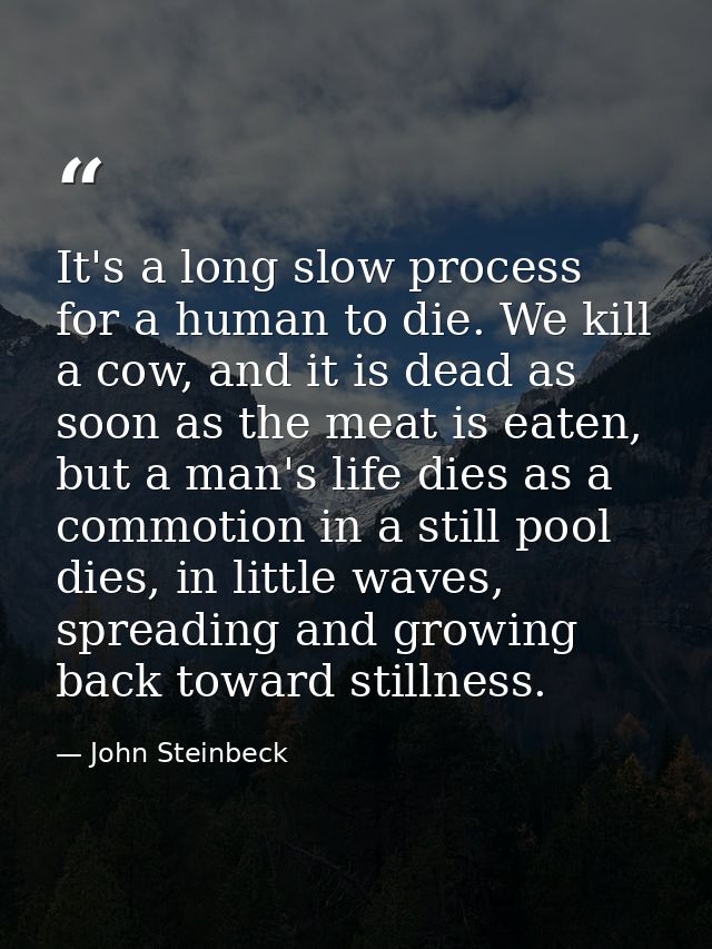 It's a long slow process for a human to die. We kill a cow, and it is dead as soon as the meat is eaten, but a man's lif — John Steinbeck