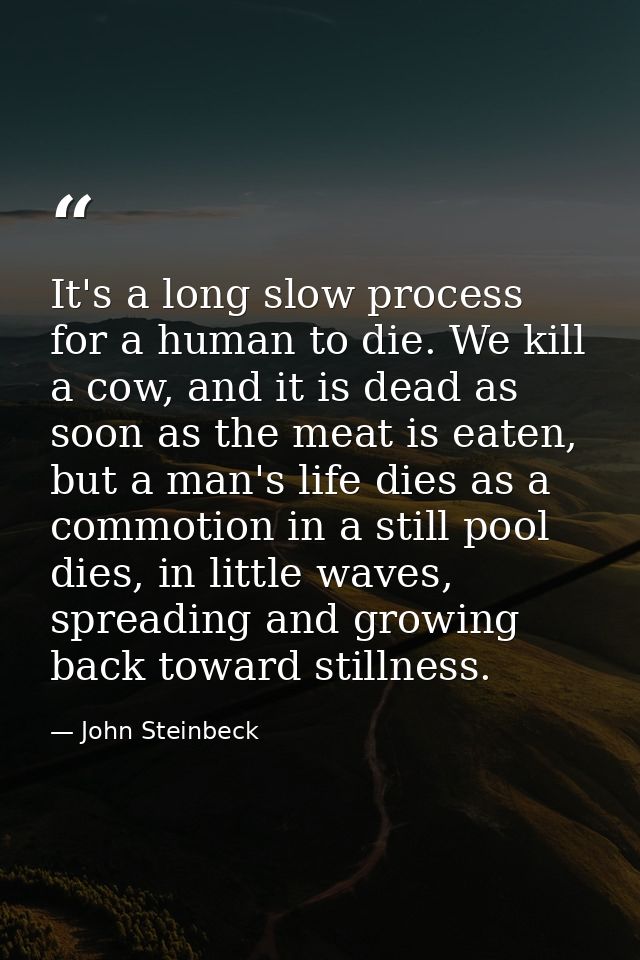 It's a long slow process for a human to die. We kill a cow, and it is dead as soon as the meat is eaten, but a man's lif — John Steinbeck
