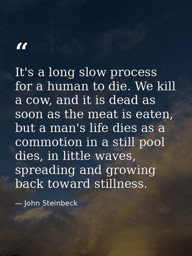 It's a long slow process for a human to die. We kill a cow, and it is dead as soon as the meat is eaten, but a man's lif — John Steinbeck