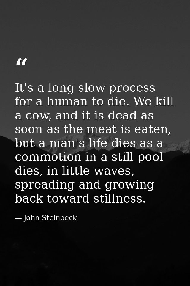 It's a long slow process for a human to die. We kill a cow, and it is dead as soon as the meat is eaten, but a man's lif — John Steinbeck