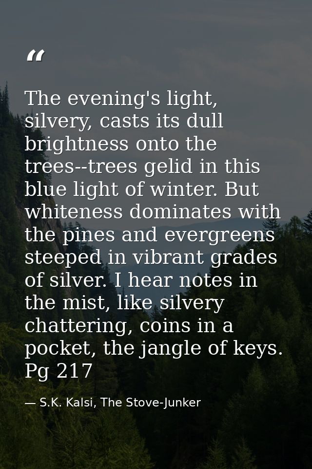 The evening's light, silvery, casts its dull brightness onto the trees--trees gelid in this blue light of winter. But wh — S.K. Kalsi, The Stove-Junker