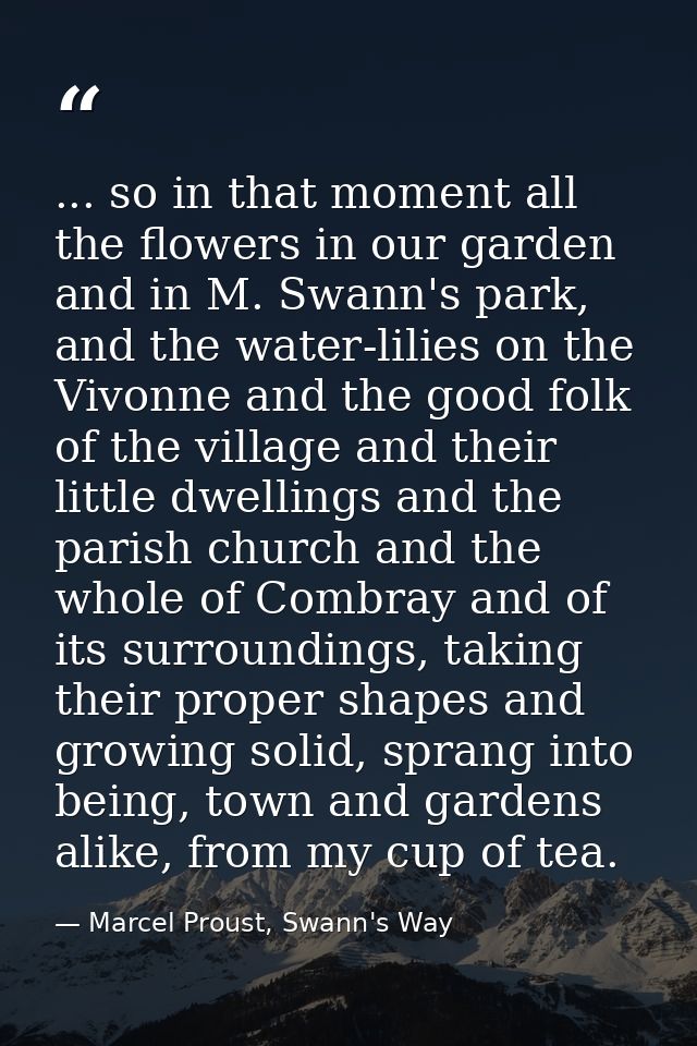 ... so in that moment all the flowers in our garden and in M. Swann's park, and the water-lilies on the Vivonne and the  — Marcel Proust, Swann's Way