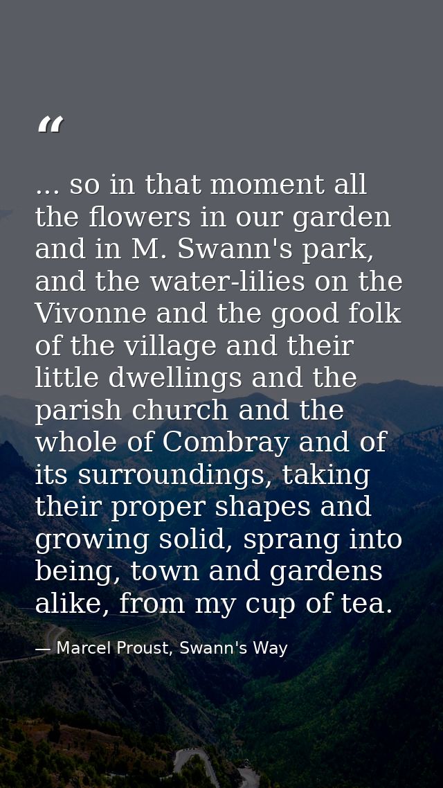 ... so in that moment all the flowers in our garden and in M. Swann's park, and the water-lilies on the Vivonne and the  — Marcel Proust, Swann's Way
