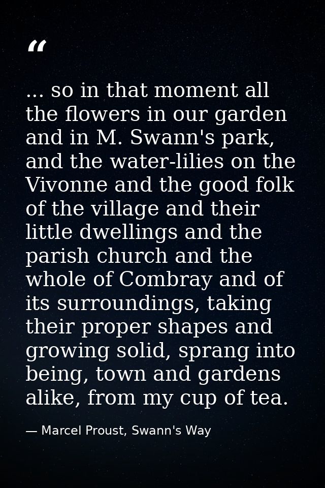 ... so in that moment all the flowers in our garden and in M. Swann's park, and the water-lilies on the Vivonne and the  — Marcel Proust, Swann's Way
