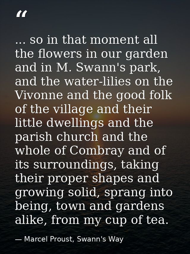 ... so in that moment all the flowers in our garden and in M. Swann's park, and the water-lilies on the Vivonne and the  — Marcel Proust, Swann's Way