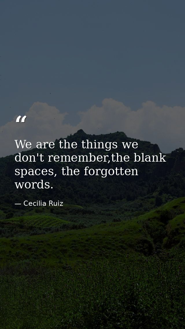 We are the things we don't remember,the blank spaces, the forgotten words. — Cecilia Ruiz