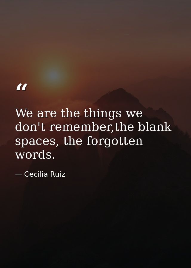 We are the things we don't remember,the blank spaces, the forgotten words. — Cecilia Ruiz