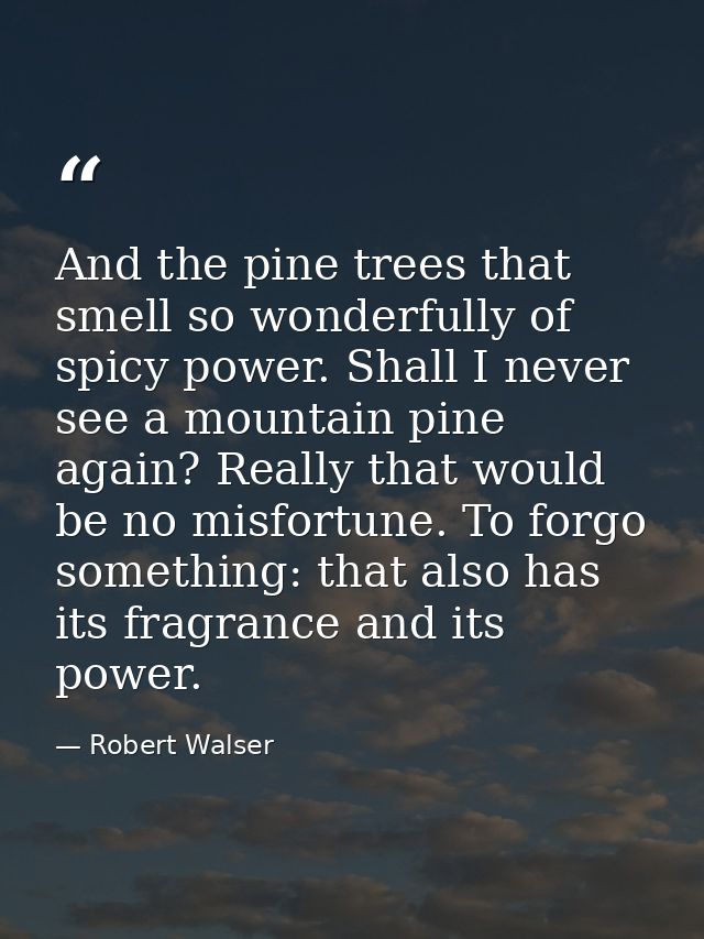 And the pine trees that smell so wonderfully of spicy power. Shall I never see a mountain pine again? Really that would  — Robert Walser