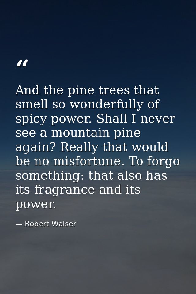 And the pine trees that smell so wonderfully of spicy power. Shall I never see a mountain pine again? Really that would  — Robert Walser