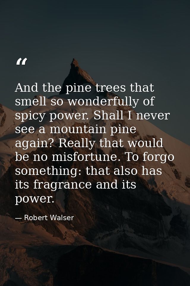 And the pine trees that smell so wonderfully of spicy power. Shall I never see a mountain pine again? Really that would  — Robert Walser