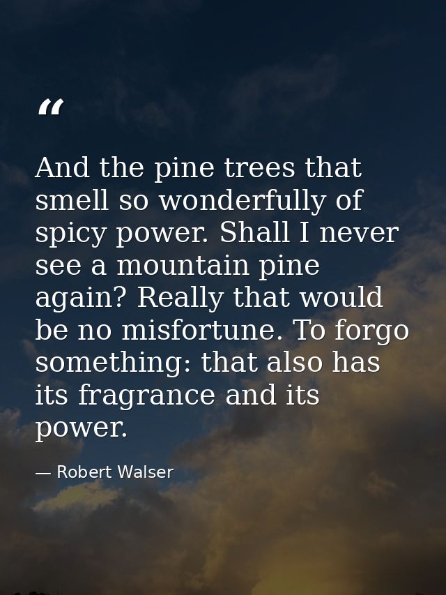And the pine trees that smell so wonderfully of spicy power. Shall I never see a mountain pine again? Really that would  — Robert Walser