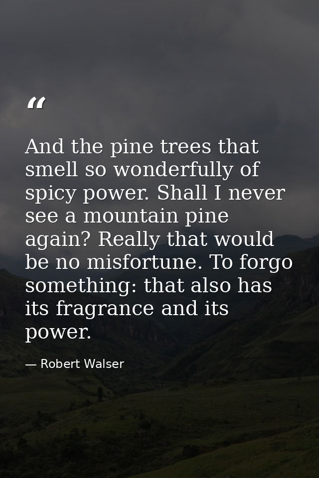 And the pine trees that smell so wonderfully of spicy power. Shall I never see a mountain pine again? Really that would  — Robert Walser