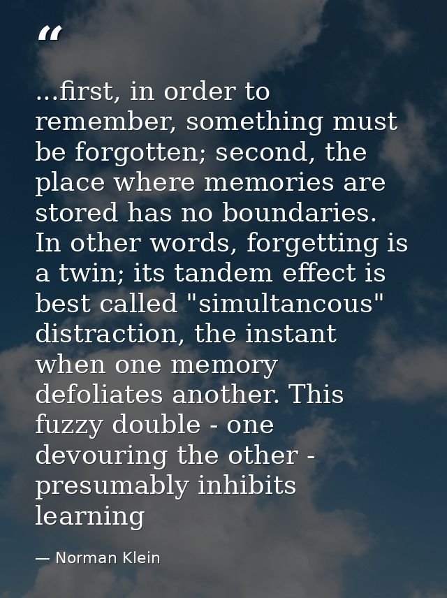 ...first, in order to remember, something must be forgotten; second, the place where memories are stored has no boundari — Norman Klein