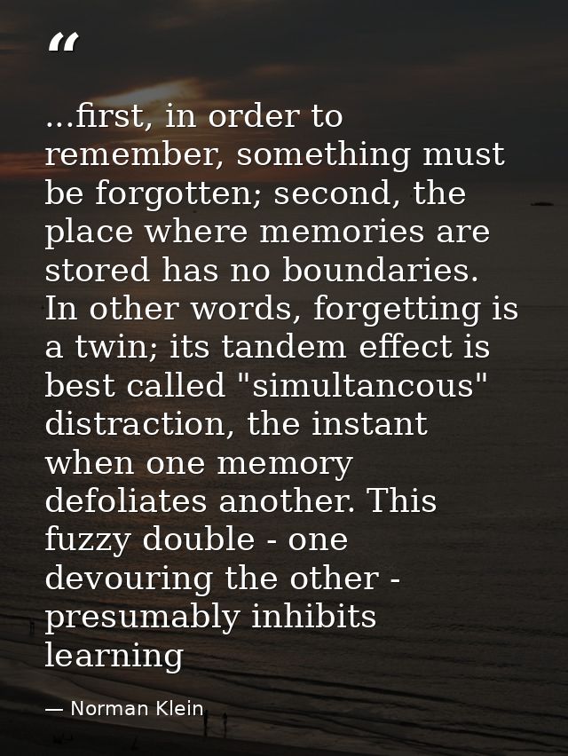 ...first, in order to remember, something must be forgotten; second, the place where memories are stored has no boundari — Norman Klein