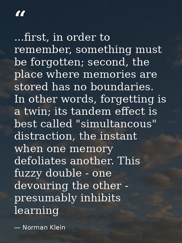 ...first, in order to remember, something must be forgotten; second, the place where memories are stored has no boundari — Norman Klein