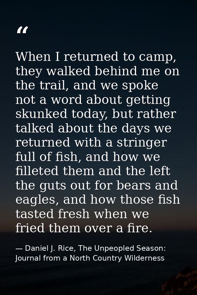 When I returned to camp, they walked behind me on the trail, and we spoke not a word about getting skunked today, but ra — Daniel J. Rice, The Unpeopled Season: Journal from a North Country Wilderness