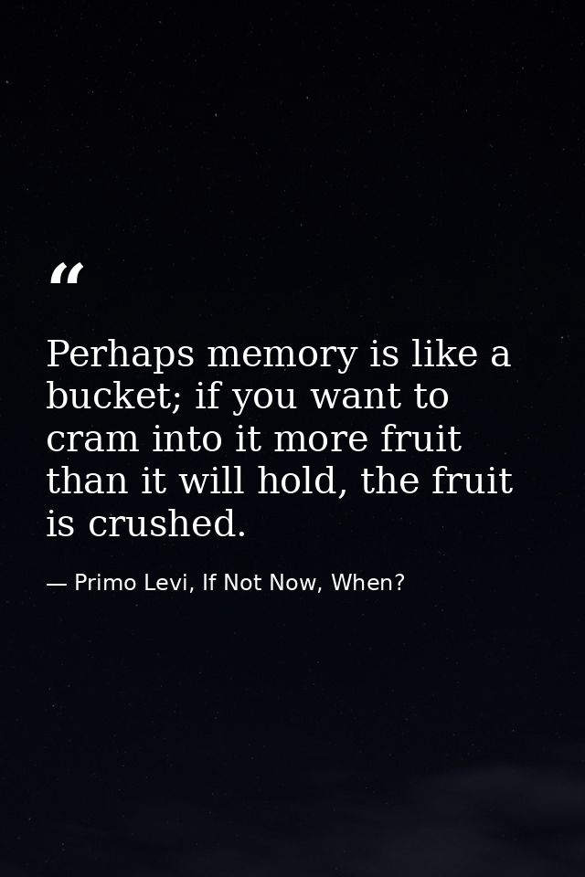 Perhaps memory is like a bucket; if you want to cram into it more fruit than it will hold, the fruit is crushed. — Primo Levi, If Not Now, When?