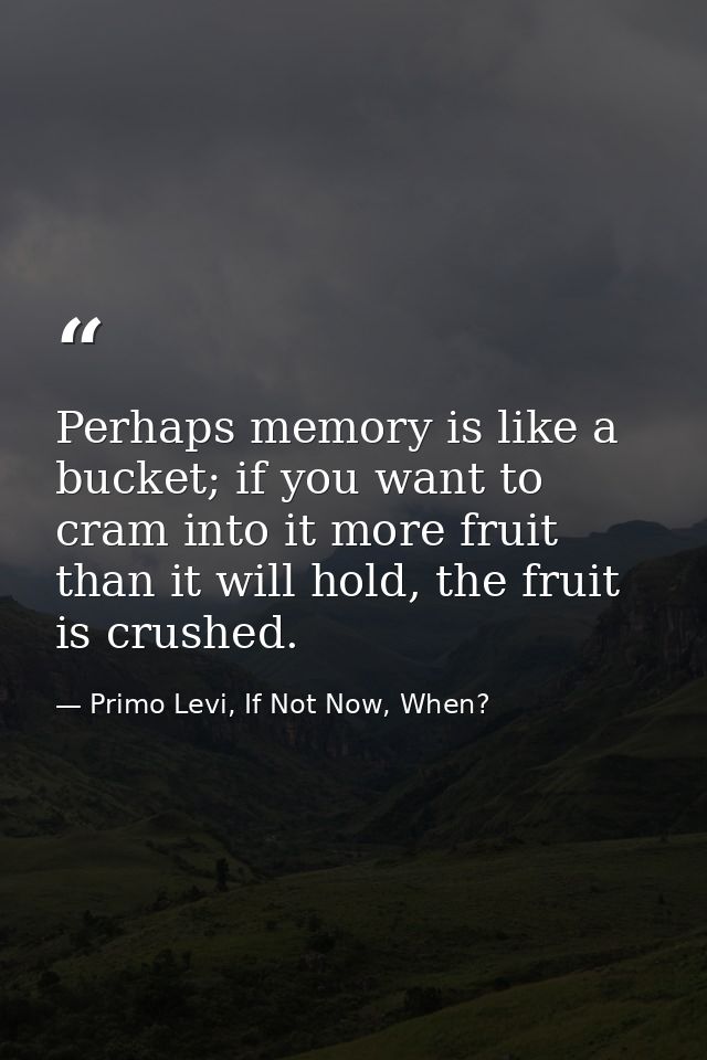 Perhaps memory is like a bucket; if you want to cram into it more fruit than it will hold, the fruit is crushed. — Primo Levi, If Not Now, When?