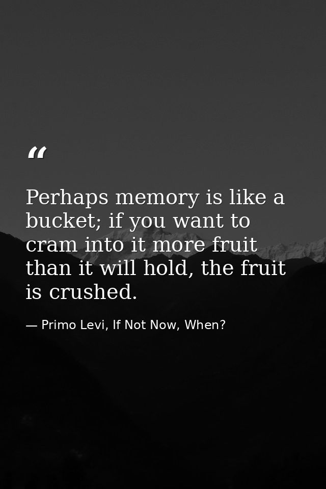 Perhaps memory is like a bucket; if you want to cram into it more fruit than it will hold, the fruit is crushed. — Primo Levi, If Not Now, When?
