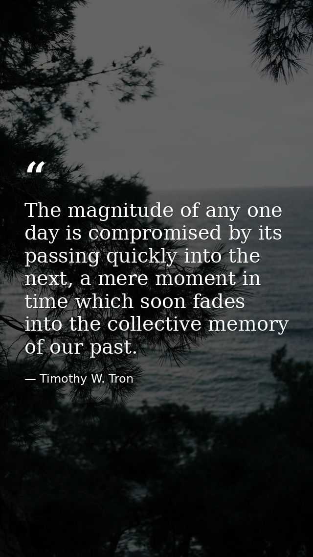 The magnitude of any one day is compromised by its passing quickly into the next, a mere moment in time which soon fades — Timothy W. Tron