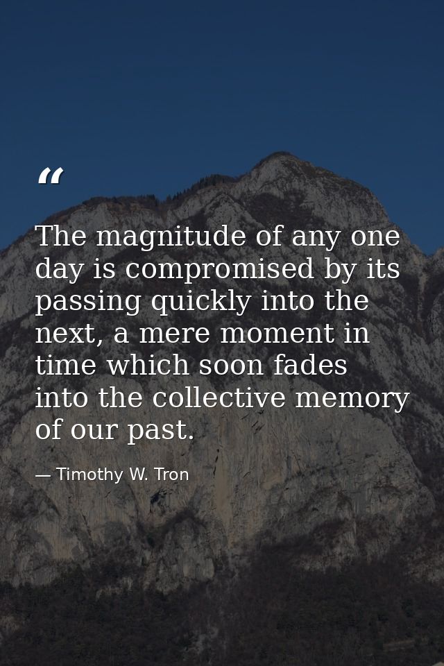 The magnitude of any one day is compromised by its passing quickly into the next, a mere moment in time which soon fades — Timothy W. Tron