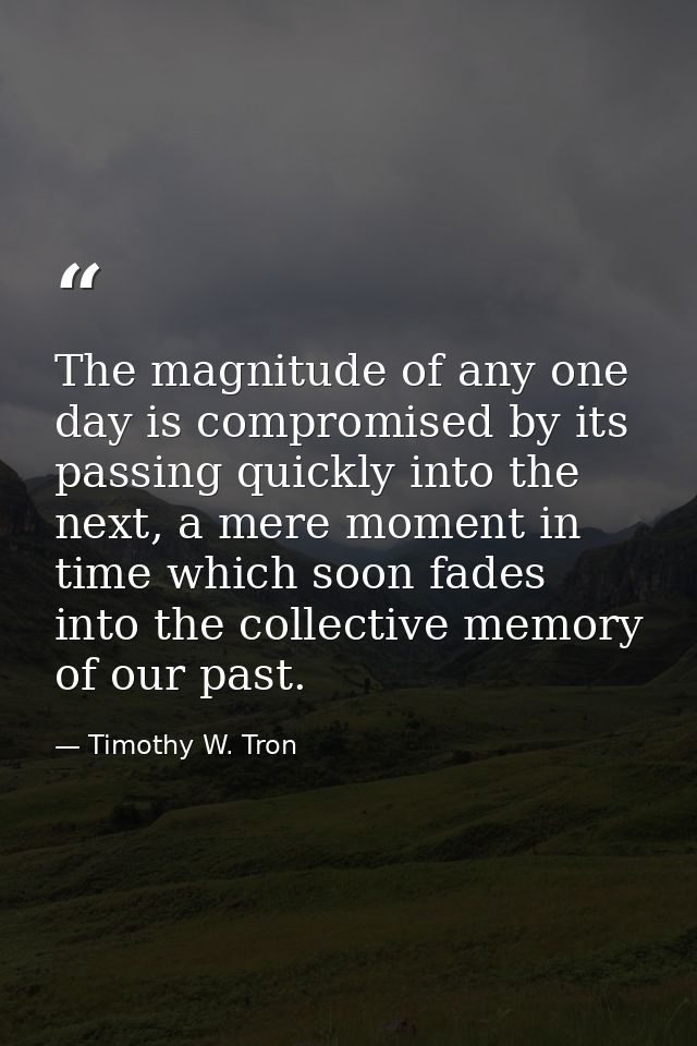 The magnitude of any one day is compromised by its passing quickly into the next, a mere moment in time which soon fades — Timothy W. Tron