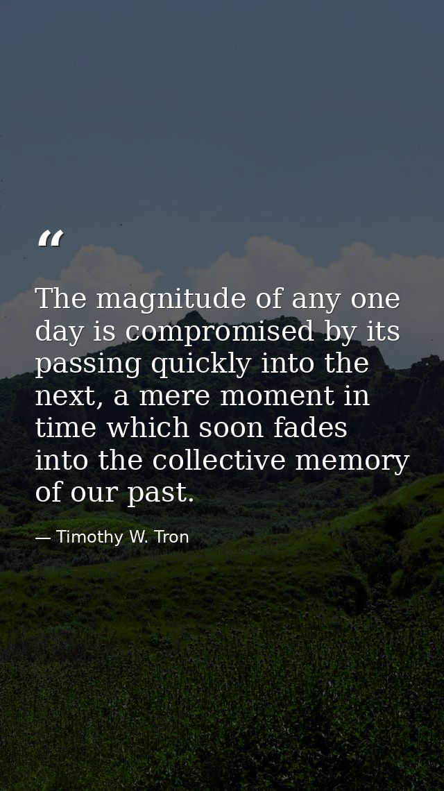 The magnitude of any one day is compromised by its passing quickly into the next, a mere moment in time which soon fades — Timothy W. Tron