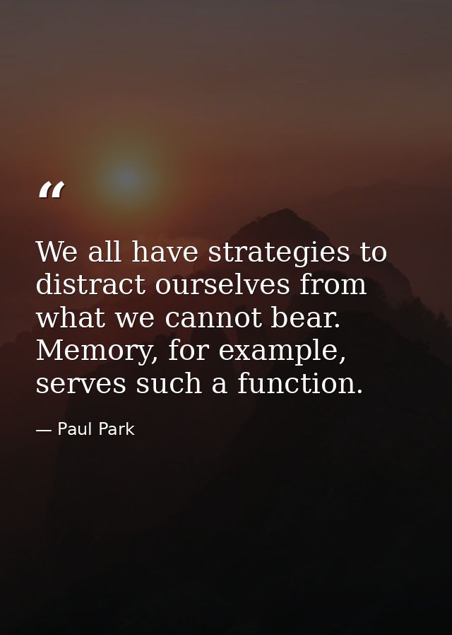 We all have strategies to distract ourselves from what we cannot bear. Memory, for example, serves such a function. — Paul Park