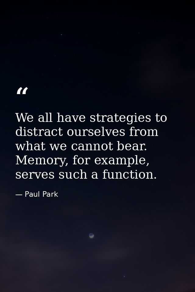 We all have strategies to distract ourselves from what we cannot bear. Memory, for example, serves such a function. — Paul Park