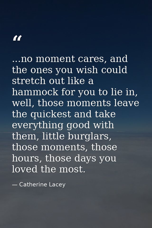 ...no moment cares, and the ones you wish could stretch out like a hammock for you to lie in, well, those moments leave  — Catherine Lacey