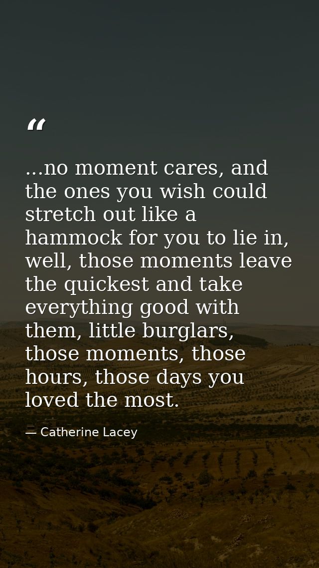 ...no moment cares, and the ones you wish could stretch out like a hammock for you to lie in, well, those moments leave  — Catherine Lacey