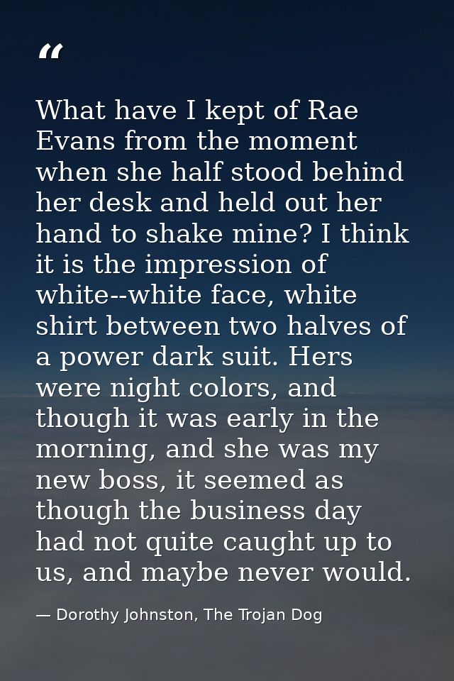 What have I kept of Rae Evans from the moment when she half stood behind her desk and held out her hand to shake mine? I — Dorothy Johnston, The Trojan Dog