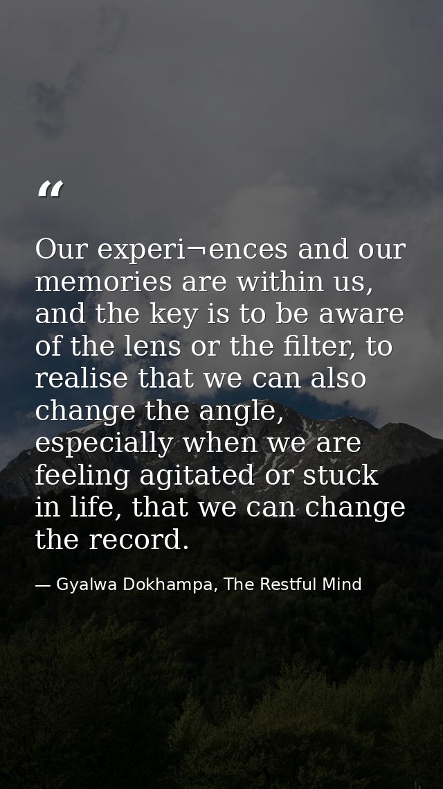 Our experi¬ences and our memories are within us, and the key is to be aware of the lens or the filter, to realise that w — Gyalwa Dokhampa, The Restful Mind