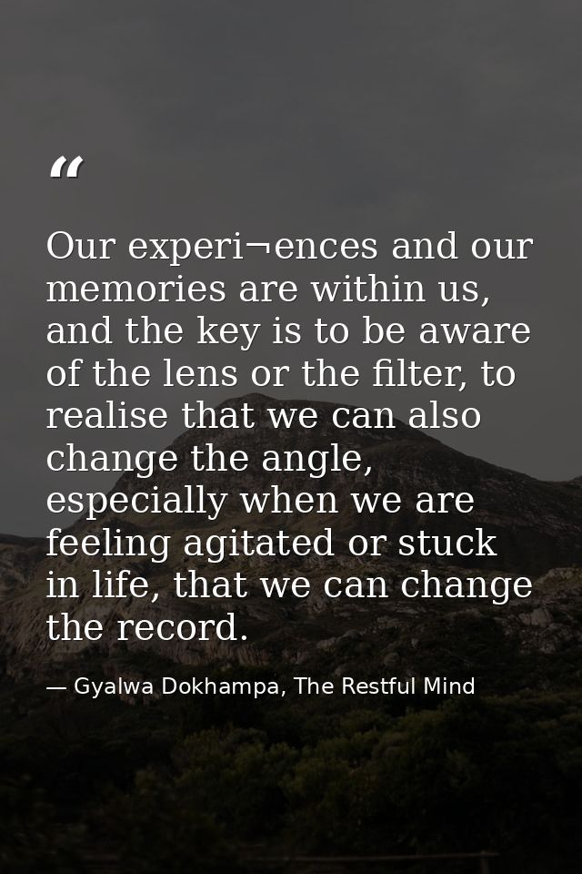 Our experi¬ences and our memories are within us, and the key is to be aware of the lens or the filter, to realise that w — Gyalwa Dokhampa, The Restful Mind
