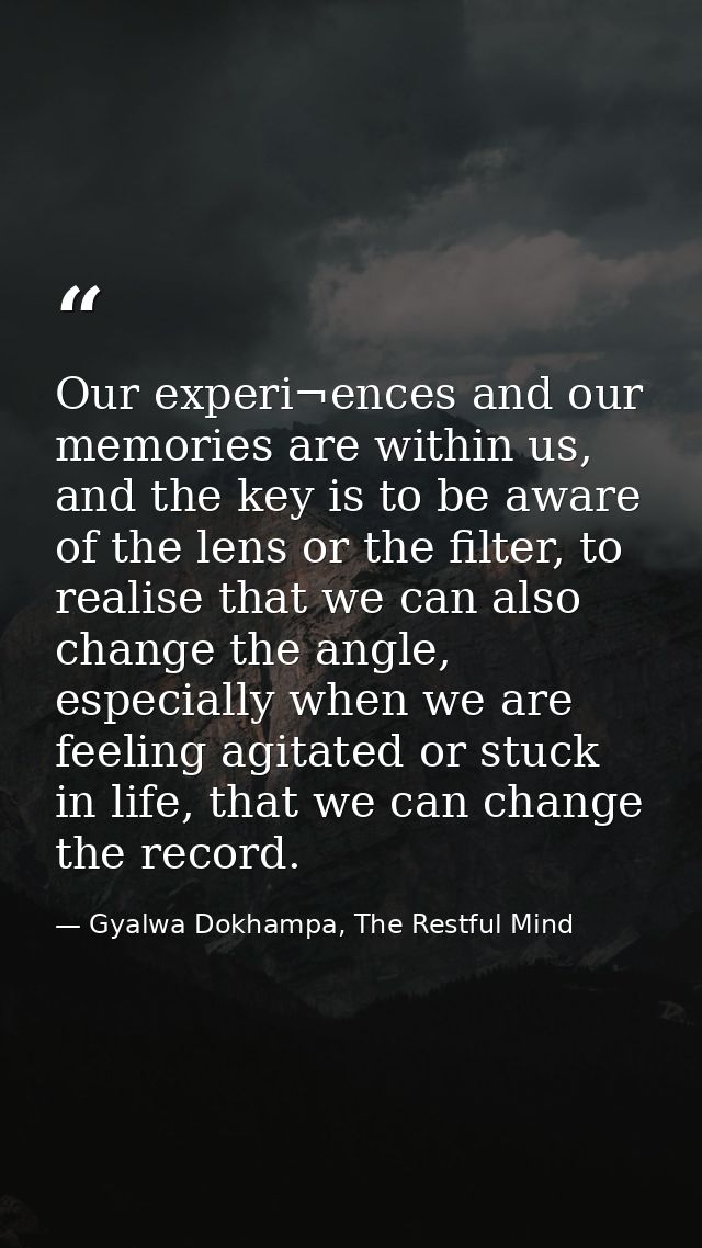 Our experi¬ences and our memories are within us, and the key is to be aware of the lens or the filter, to realise that w — Gyalwa Dokhampa, The Restful Mind