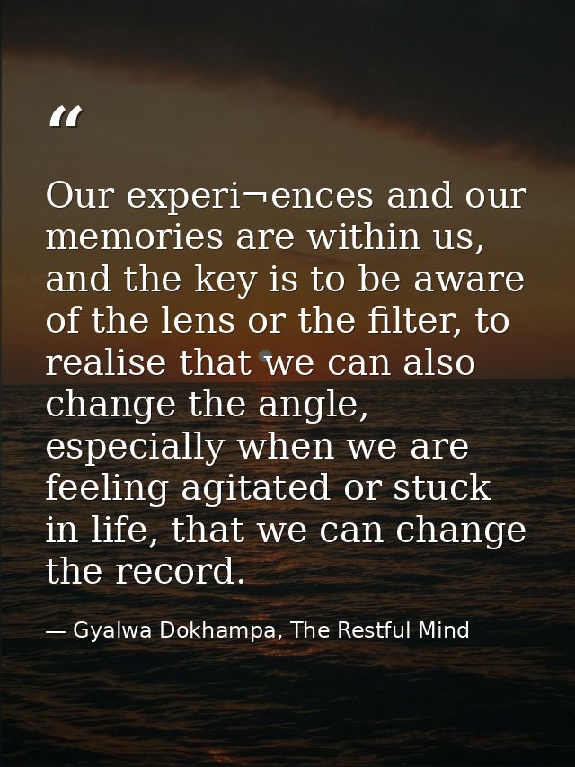 Our experi¬ences and our memories are within us, and the key is to be aware of the lens or the filter, to realise that w — Gyalwa Dokhampa, The Restful Mind