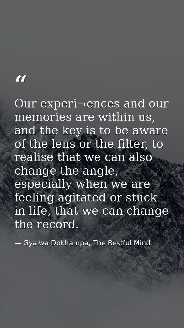 Our experi¬ences and our memories are within us, and the key is to be aware of the lens or the filter, to realise that w — Gyalwa Dokhampa, The Restful Mind