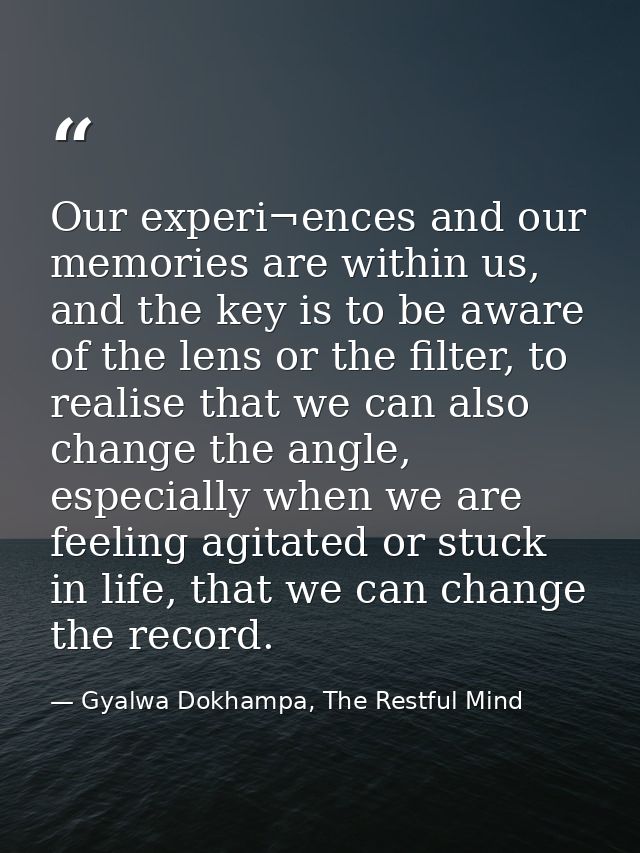 Our experi¬ences and our memories are within us, and the key is to be aware of the lens or the filter, to realise that w — Gyalwa Dokhampa, The Restful Mind
