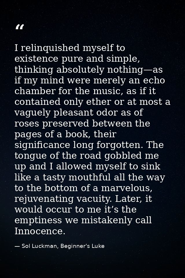 I relinquished myself to existence pure and simple, thinking absolutely nothing—as if my mind were merely an echo chambe — Sol Luckman, Beginner's Luke