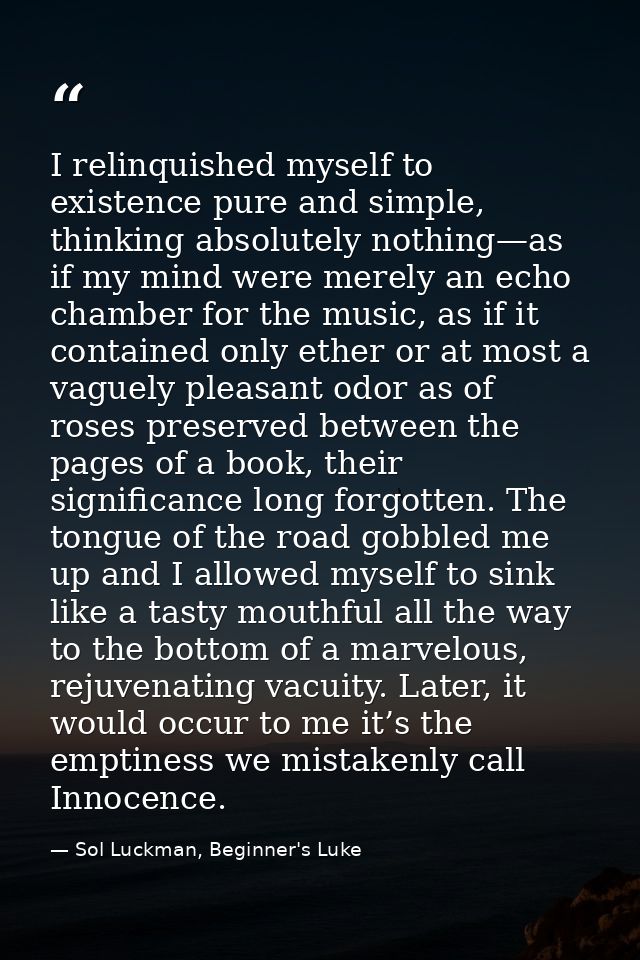 I relinquished myself to existence pure and simple, thinking absolutely nothing—as if my mind were merely an echo chambe — Sol Luckman, Beginner's Luke