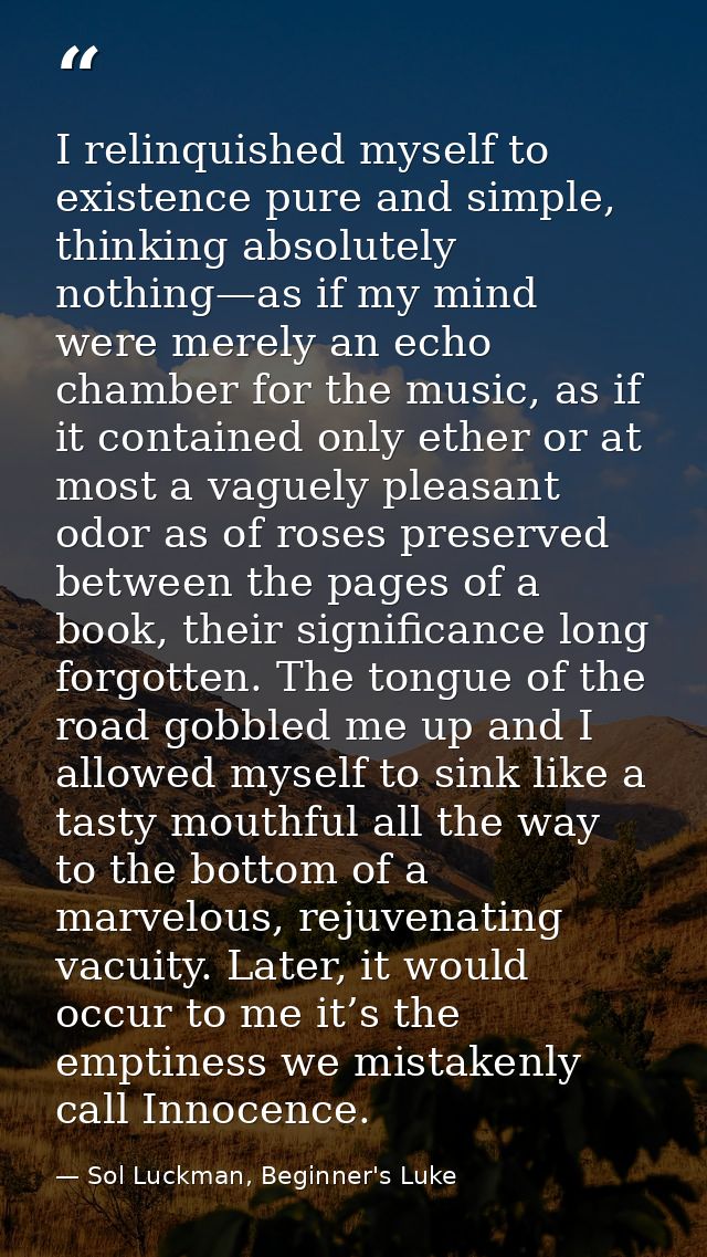 I relinquished myself to existence pure and simple, thinking absolutely nothing—as if my mind were merely an echo chambe — Sol Luckman, Beginner's Luke