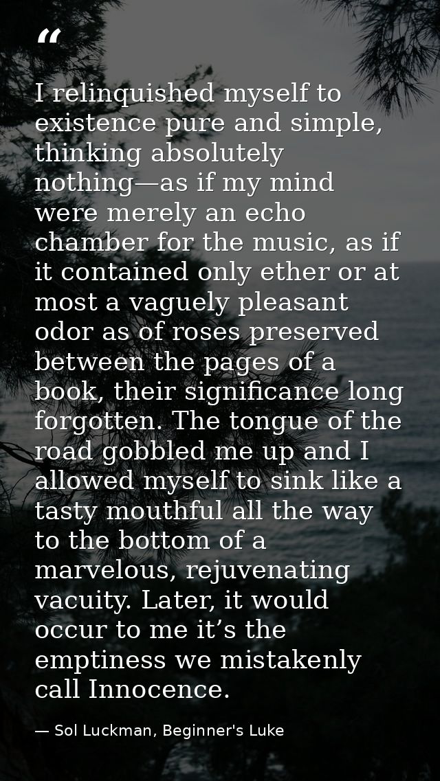 I relinquished myself to existence pure and simple, thinking absolutely nothing—as if my mind were merely an echo chambe — Sol Luckman, Beginner's Luke