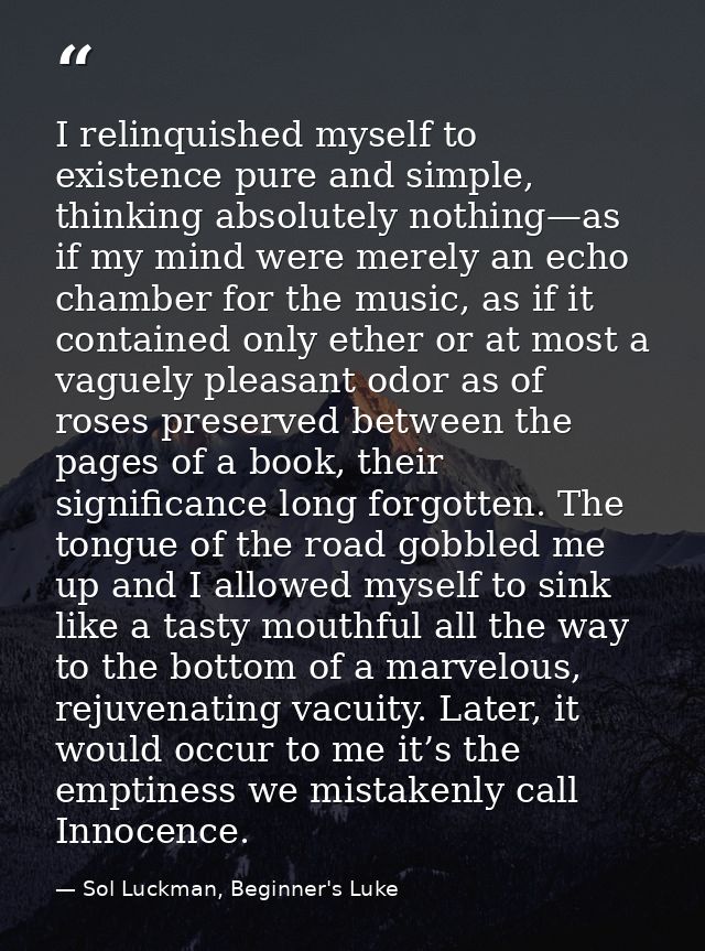 I relinquished myself to existence pure and simple, thinking absolutely nothing—as if my mind were merely an echo chambe — Sol Luckman, Beginner's Luke