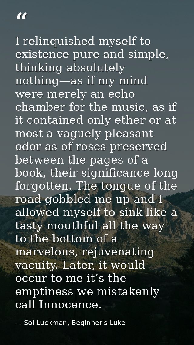 I relinquished myself to existence pure and simple, thinking absolutely nothing—as if my mind were merely an echo chambe — Sol Luckman, Beginner's Luke