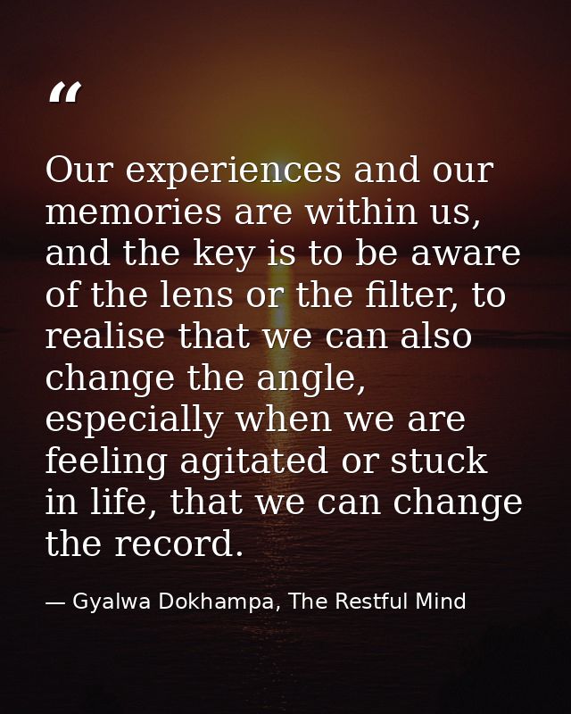 Our experiences and our memories are within us, and the key is to be aware of the lens or the filter, to realise that we — Gyalwa Dokhampa, The Restful Mind