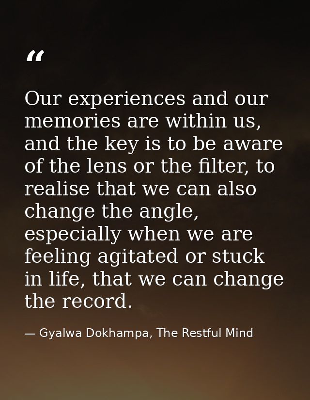 Our experiences and our memories are within us, and the key is to be aware of the lens or the filter, to realise that we — Gyalwa Dokhampa, The Restful Mind